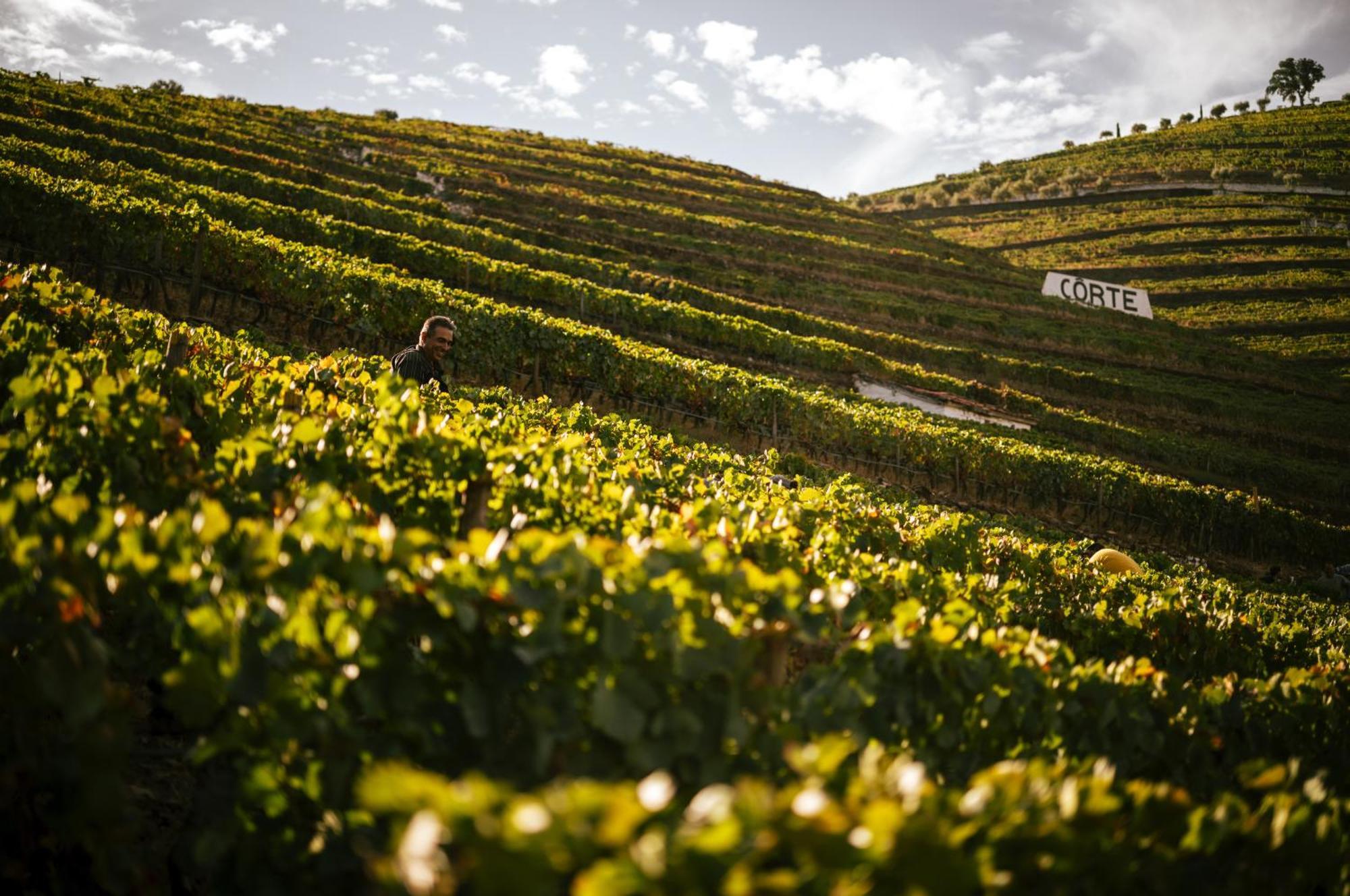 Quinta Da Corte Valenca do Douro Exterior photo