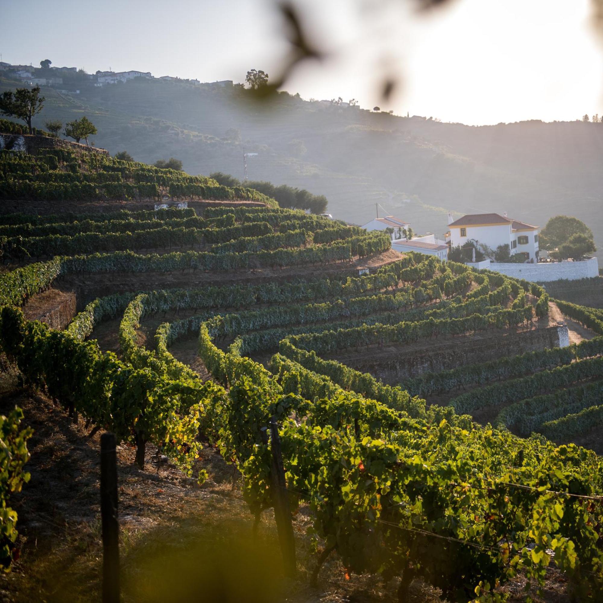 Quinta Da Corte Valenca do Douro Exterior photo